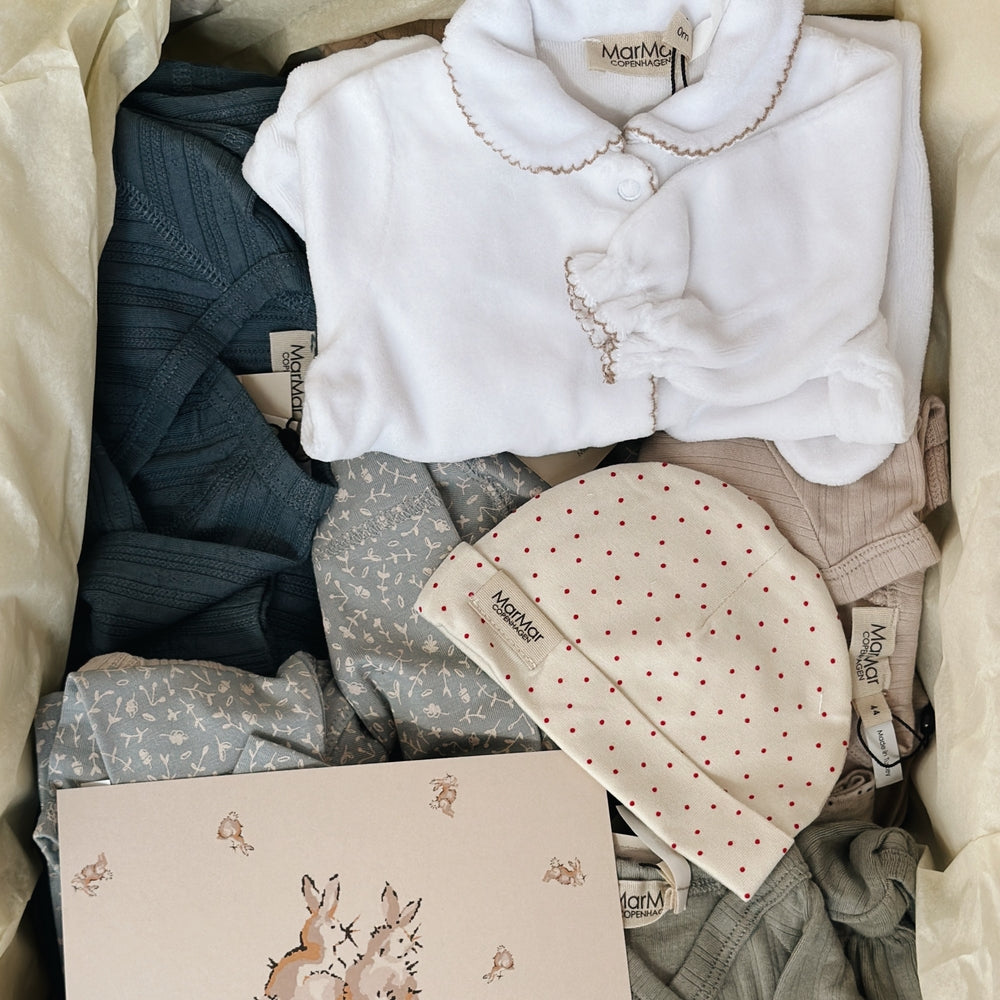 Verdens Præmaturdag