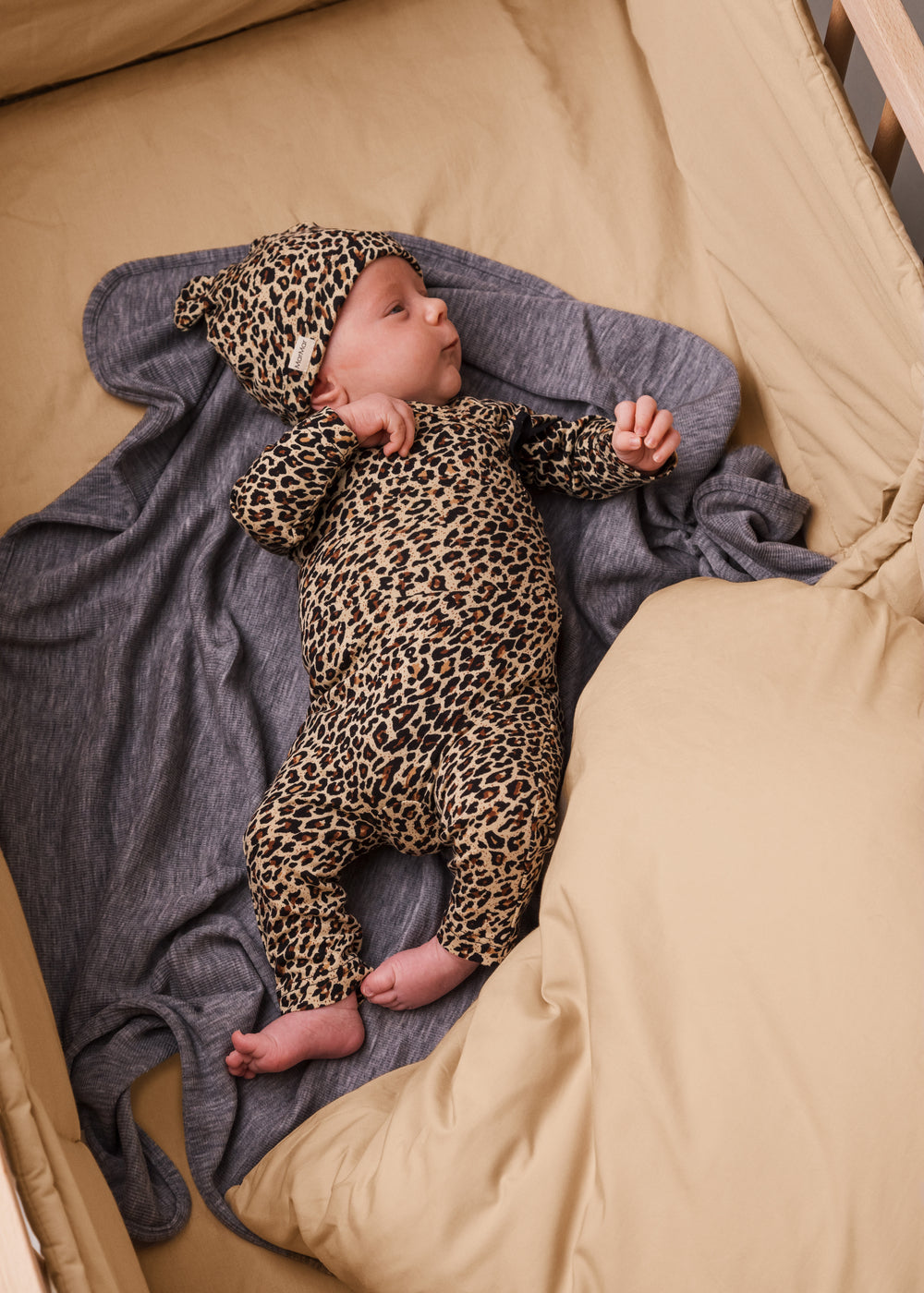 Leo Belita, Bodystocking - Brown Leo