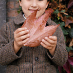 Dreng holder efterårsblad iført brun ternet jakke