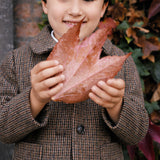 Dreng holder efterårsblad iført brun ternet jakke