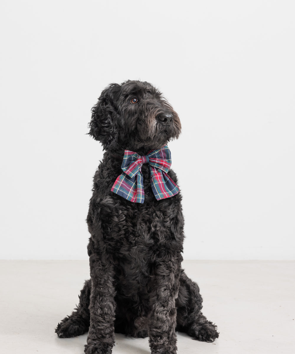 Hund med ternet sløjfe i mørkeblå og røde farver med juletema