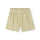 Paulo - Shorts, Olive Stripe