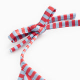 Bib Long, Hagesmæk - Blue Red Stripes